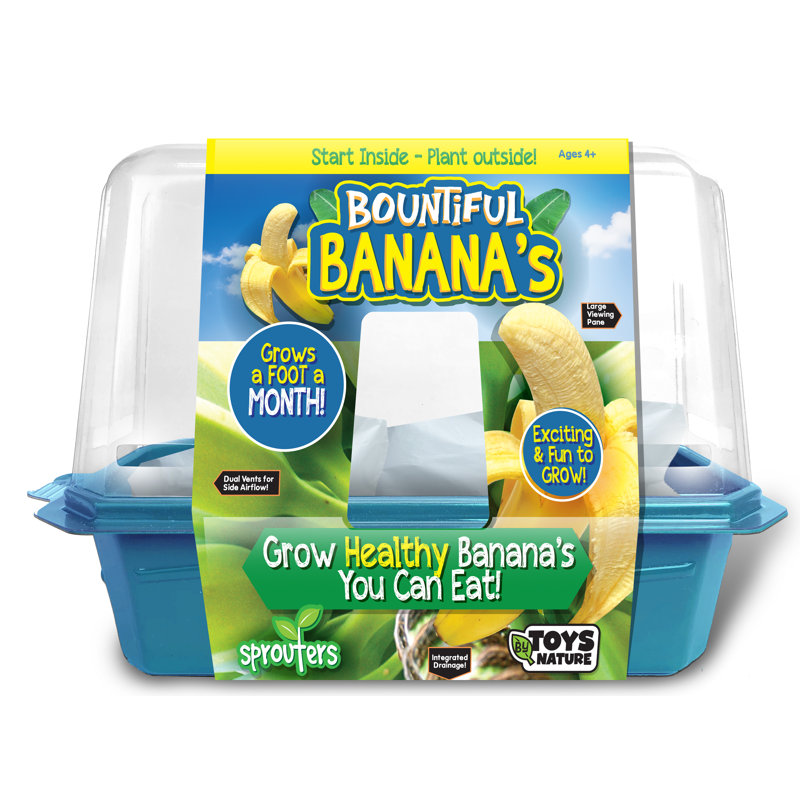 Silver Circle Products Bountiful Bananas Growing Kit Wayfair